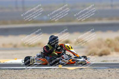 media/Mar-29-2025-Pro Autosports (Sat) [[89b1c017ad]]/6-Purple Group/Qualifying Session/